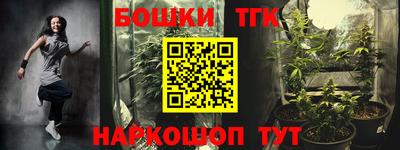 молекула духа Будённовск